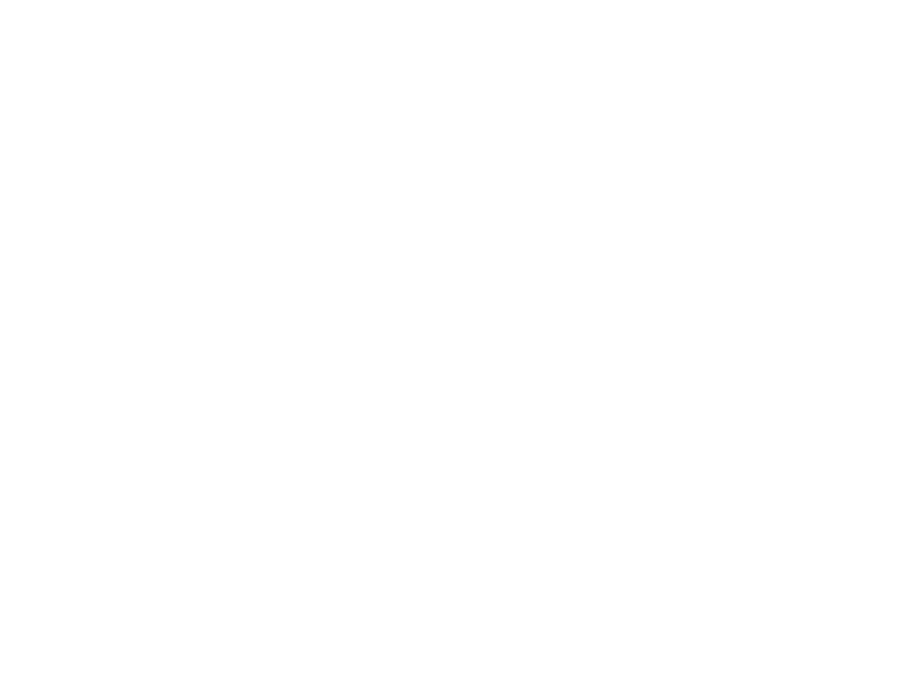 Arnies_Logos_Primary_09272f05-4cb7-43a8-98c2-2e59cad57f19-1024x766